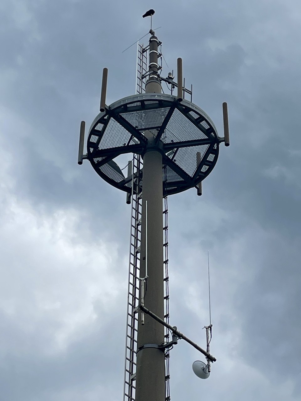 Antennen