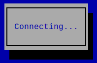 Raspbian nmtui interface