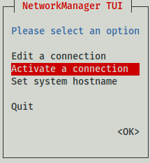 Raspbian nmtui disconnect