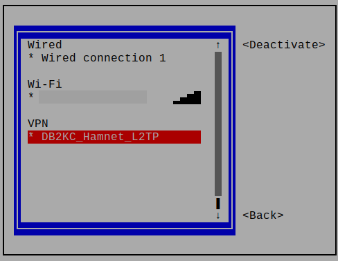 Raspbian nmtui disconnect